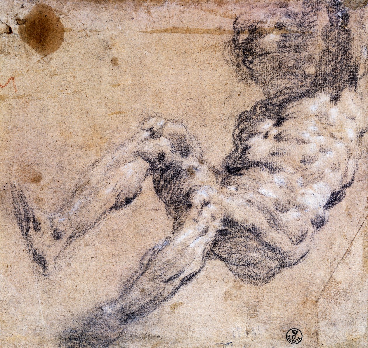 Studium aktu męskiego autorstwa Jacopo Robusti Tintoretto