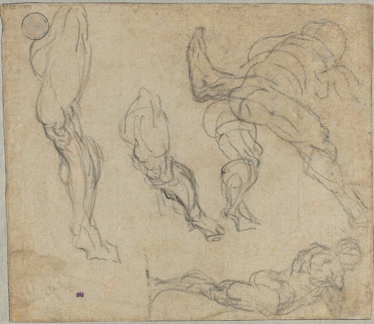 Figury i nogi (verso) autorstwa Jacopo Tintoretto