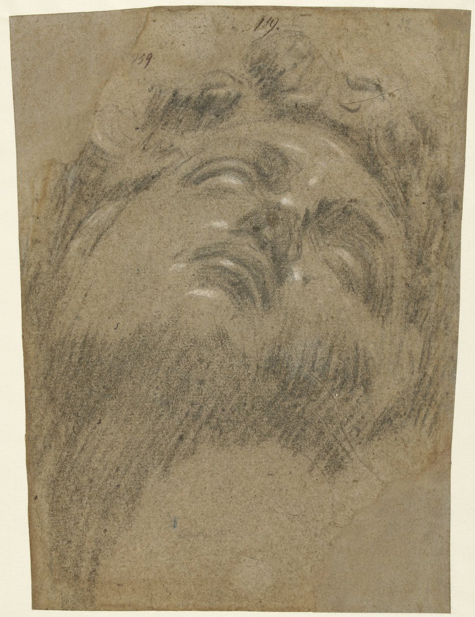 Hoofd van Giuliano dei Medici autorstwa Jacopo Tintoretto