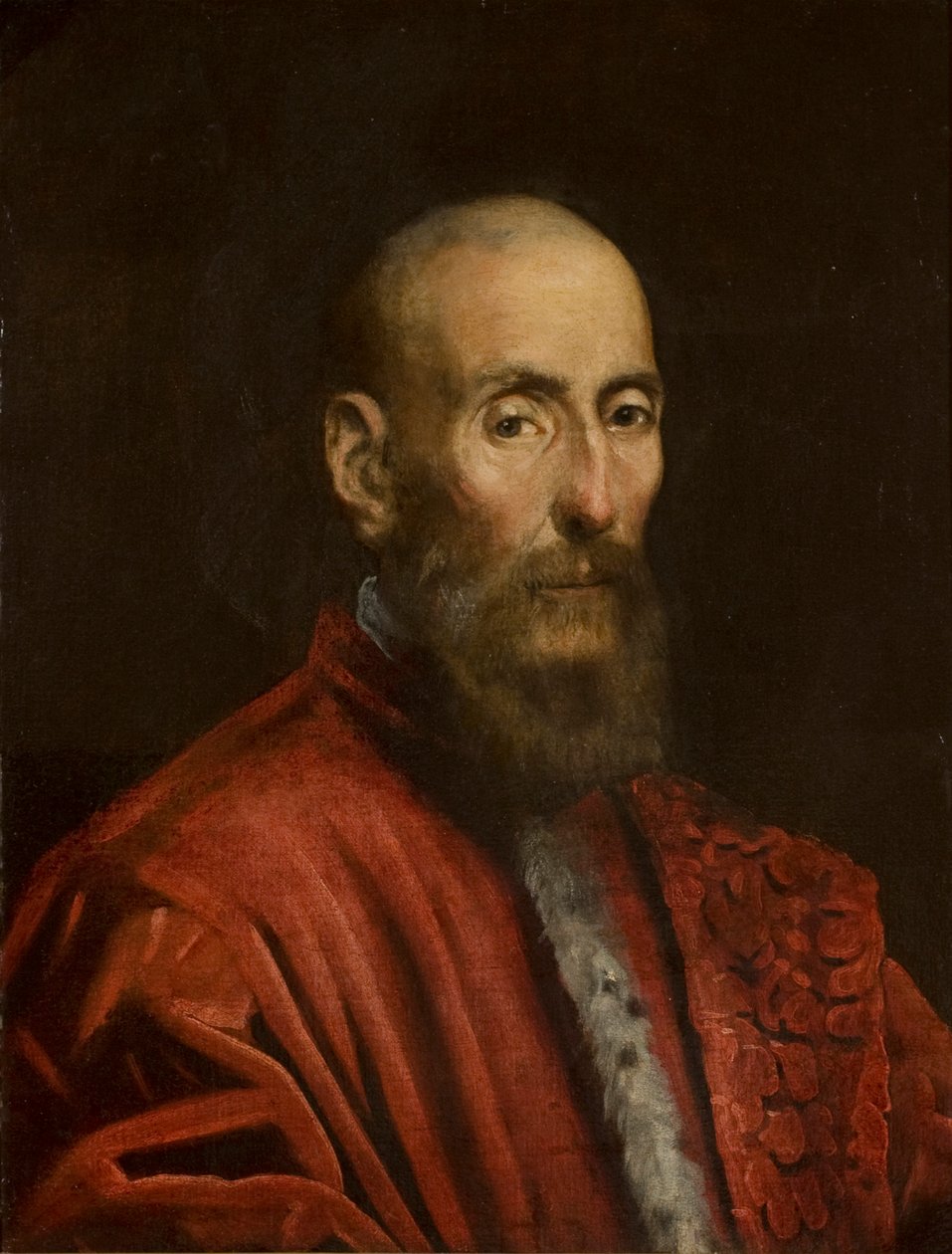 Portret senatora autorstwa Jacopo Tintoretto