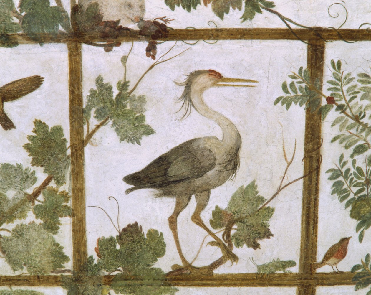 Ibis, z fresku woliery w Willi Medici, ok. 1576-77 autorstwa Jacopo Zucchi