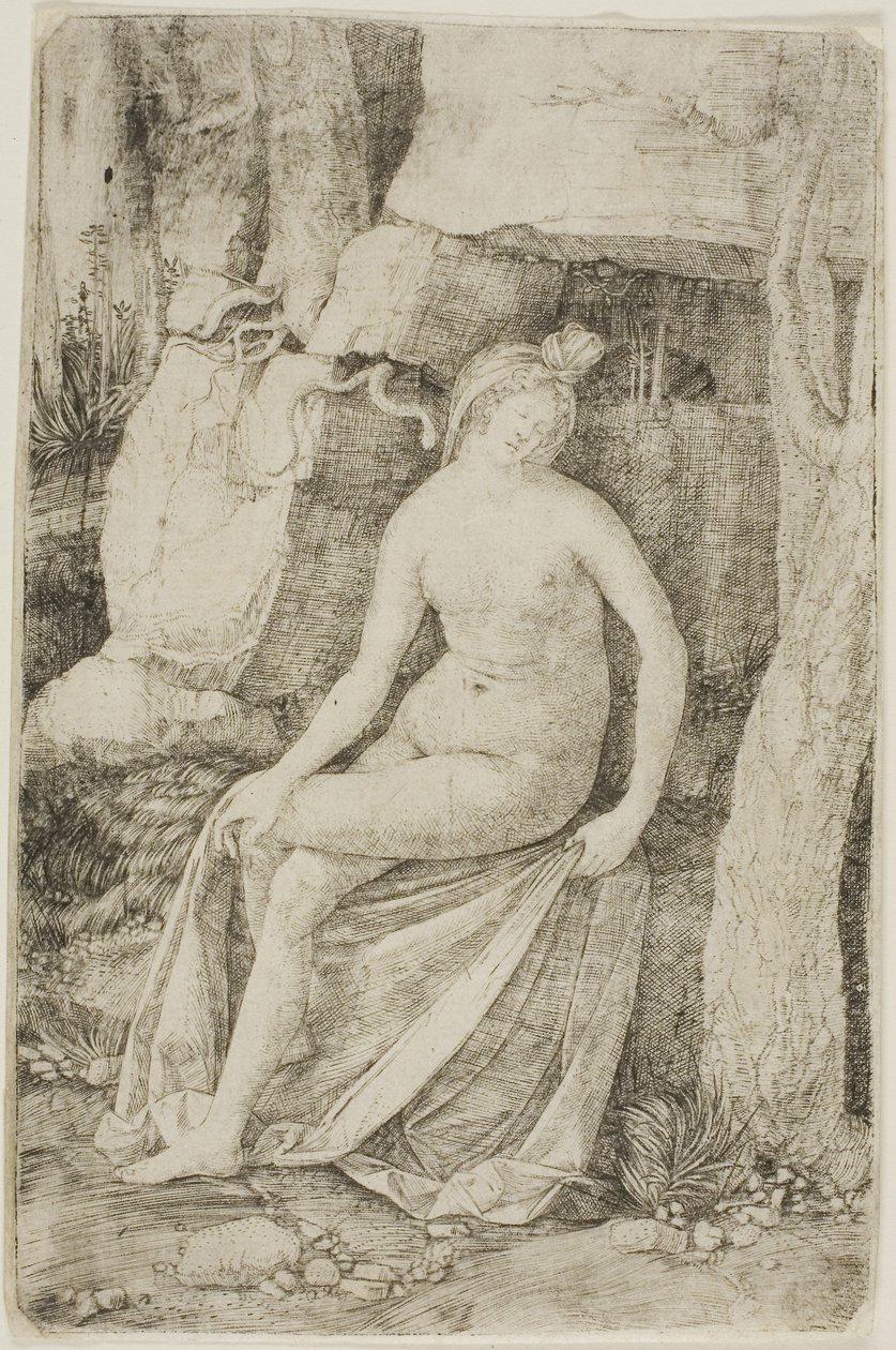 Kleopatra autorstwa Jacopo de