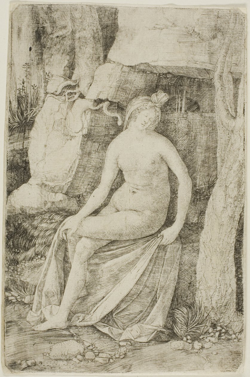 Kleopatra autorstwa Jacopo de