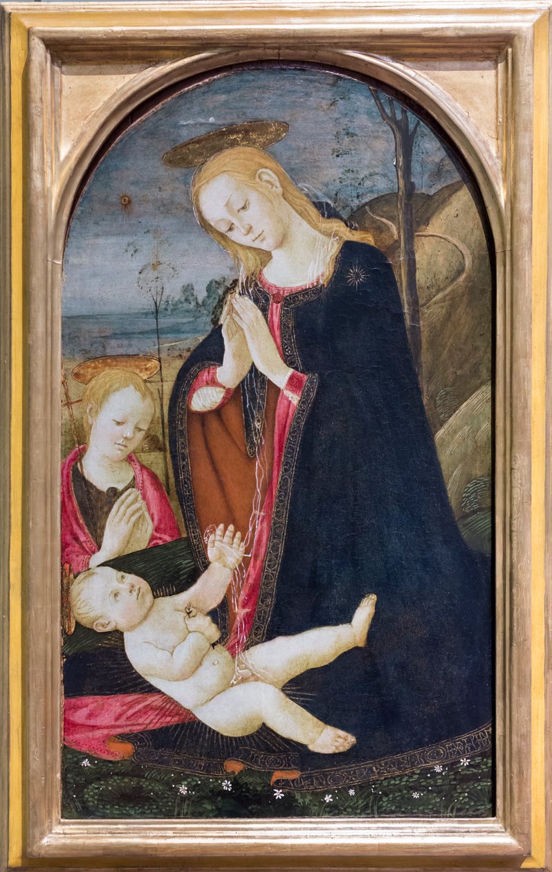 Adoracja Chrystusa z młodzieńcem św. Janem Chrzcicielem autorstwa Jacopo del Sellaio