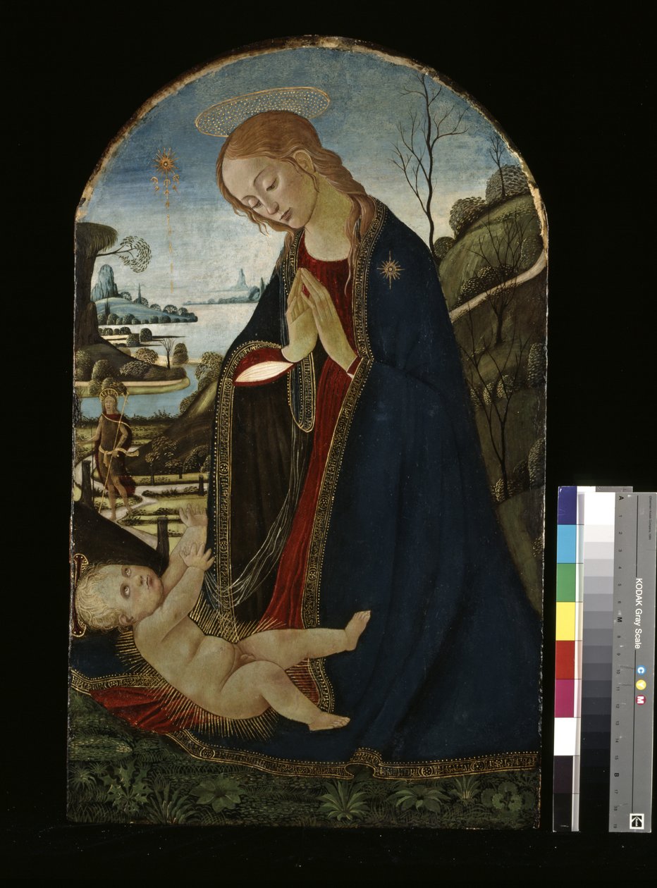 Madonna adorująca Dzieciątko Jezus (olej na drewnie) autorstwa Jacopo del Sellaio