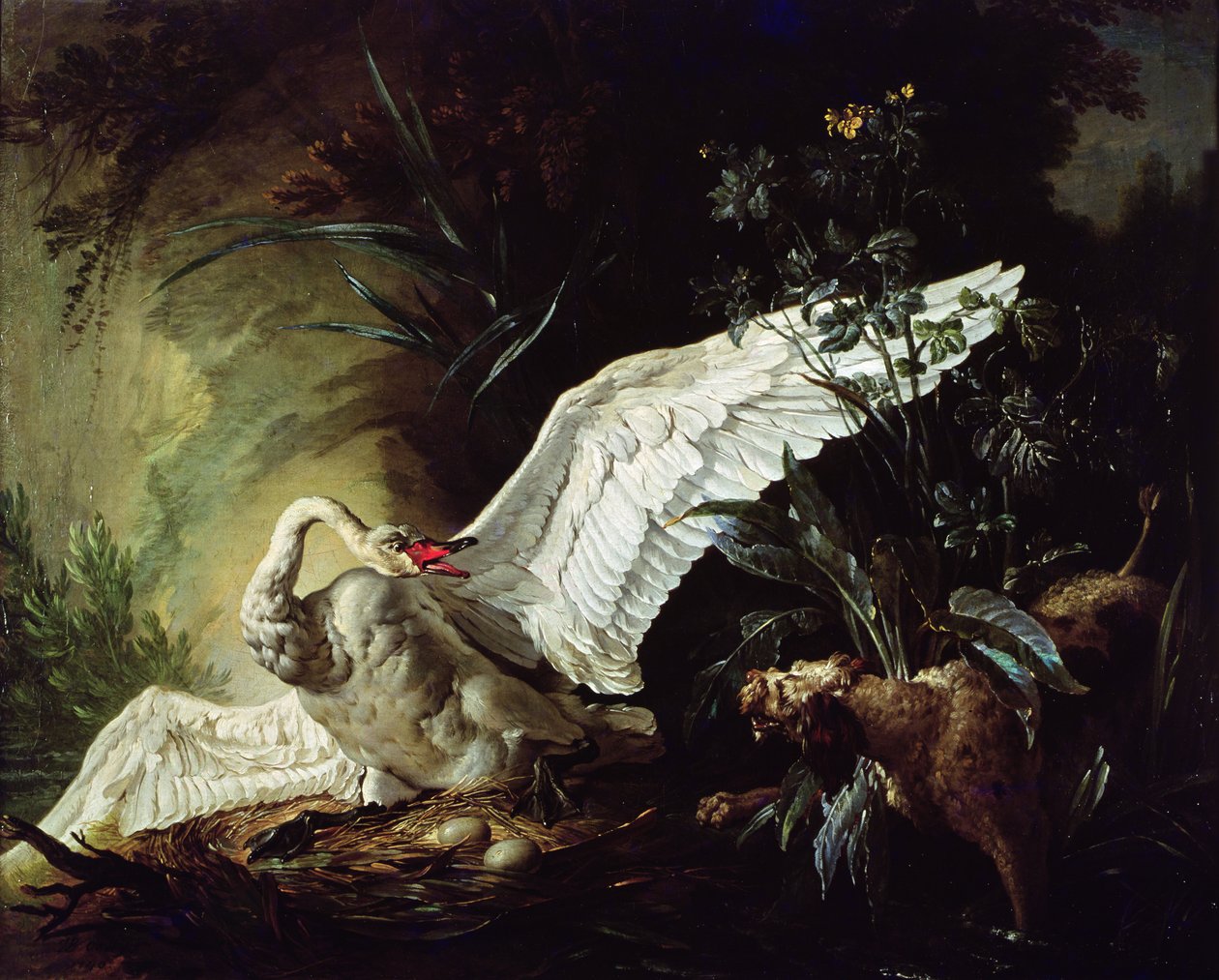 Spaniel wodny atakujący łabędzia w swoim gnieździe, 1740 autorstwa Jacques Charles Oudry