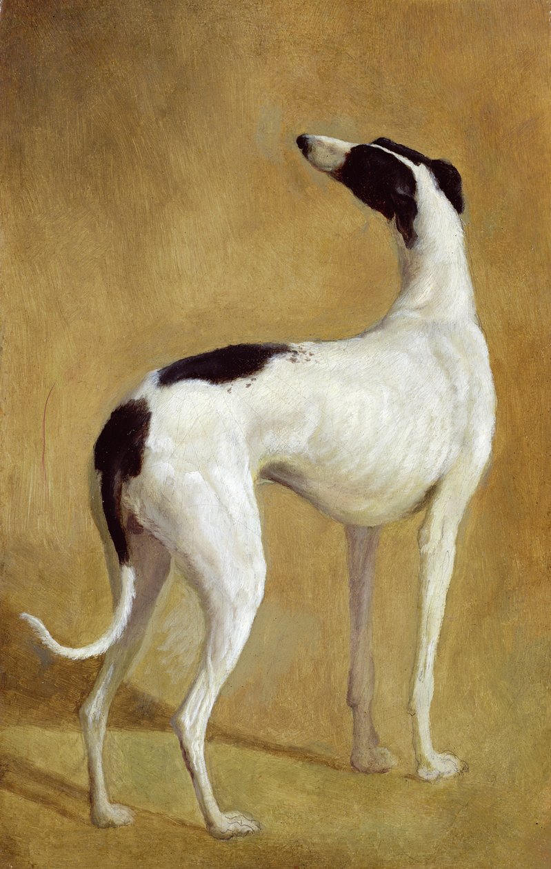 Badanie charta autorstwa Jacques Laurent Agasse