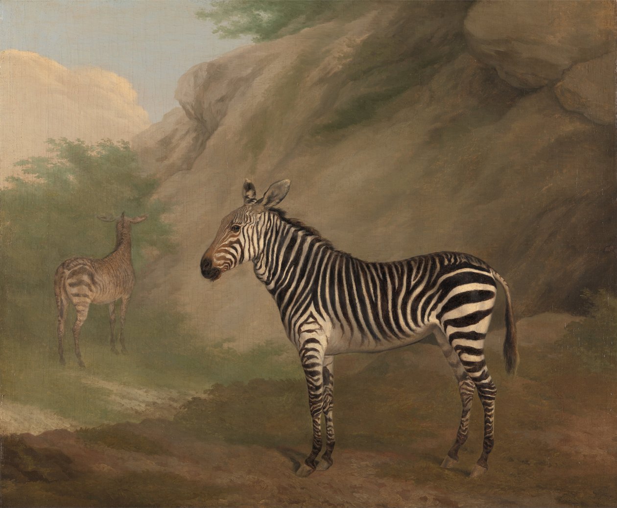 Zebra autorstwa Jacques-Laurent Agasse