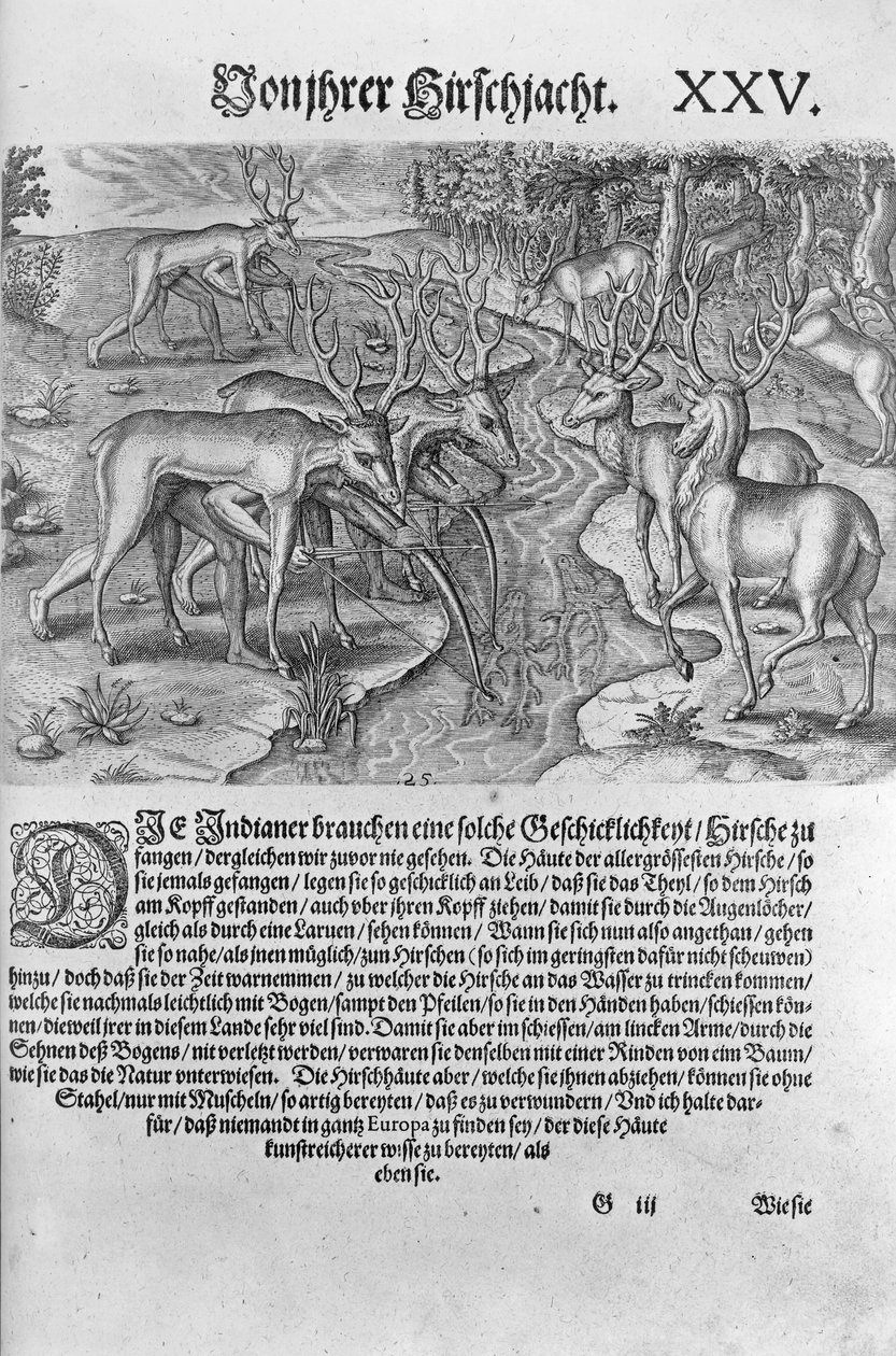 Indianie z Florydy polujący na jelenie w przebraniu, z "Americae Decima Pars", rycina Theodora de Bry (1528-98) 1591 autorstwa Jacques Le Moyne