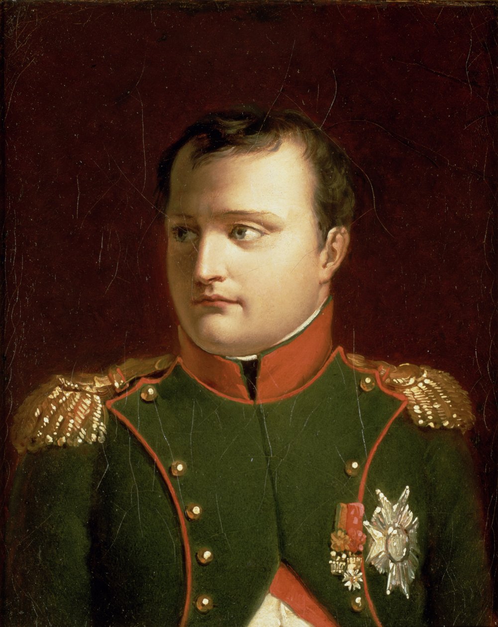Napoleon Bonaparte (1769-1821) (olej) autorstwa Jacques Louis David