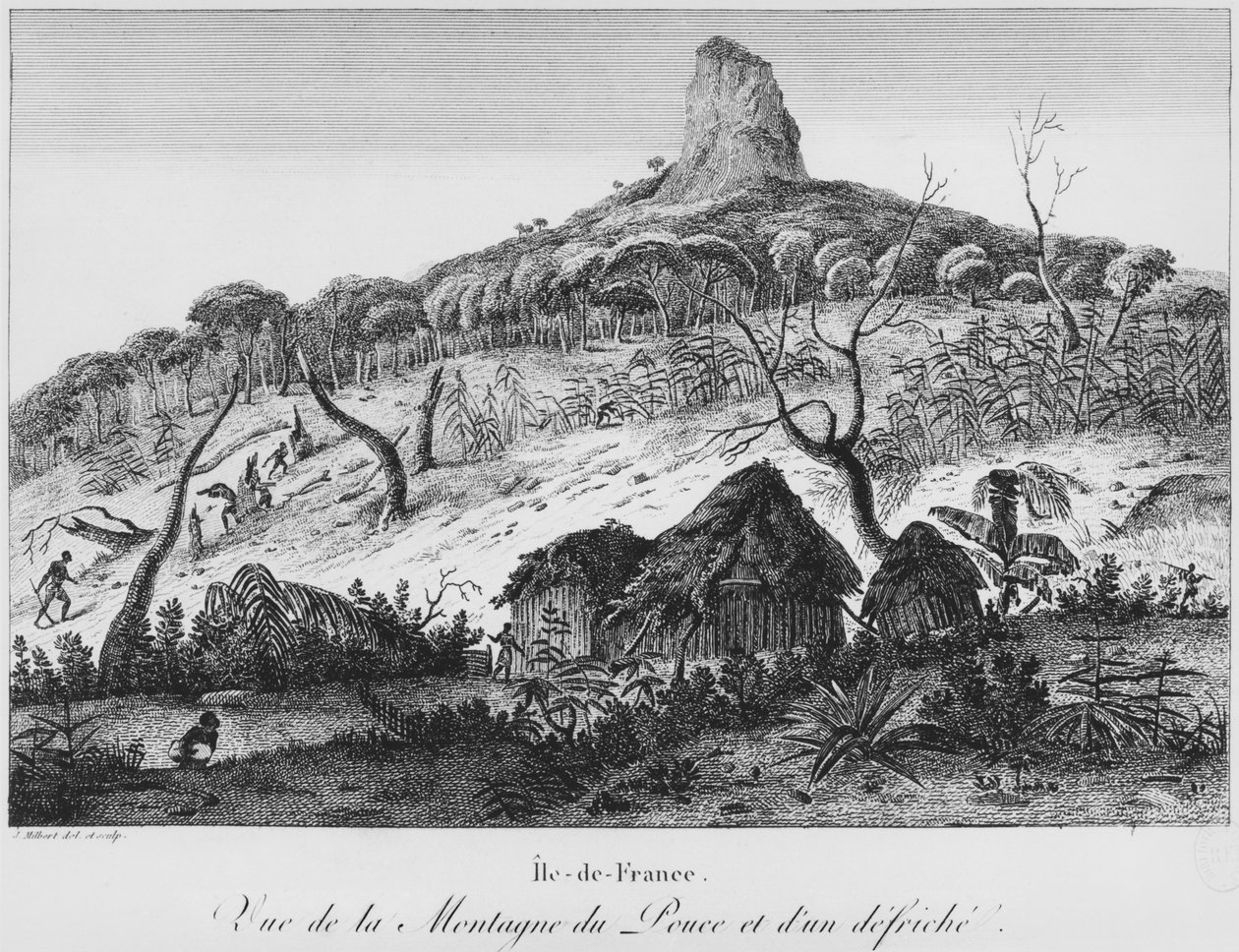Widok na górę Pouce i polanę leśną, Mauritius, ilustracja z „Podróży malowniczej a l