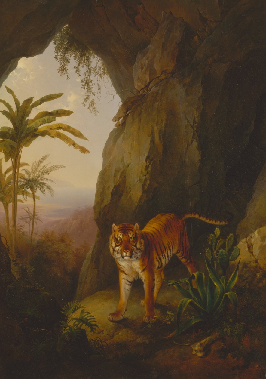 Tygrys w jaskini autorstwa Jacques-Laurent Agasse