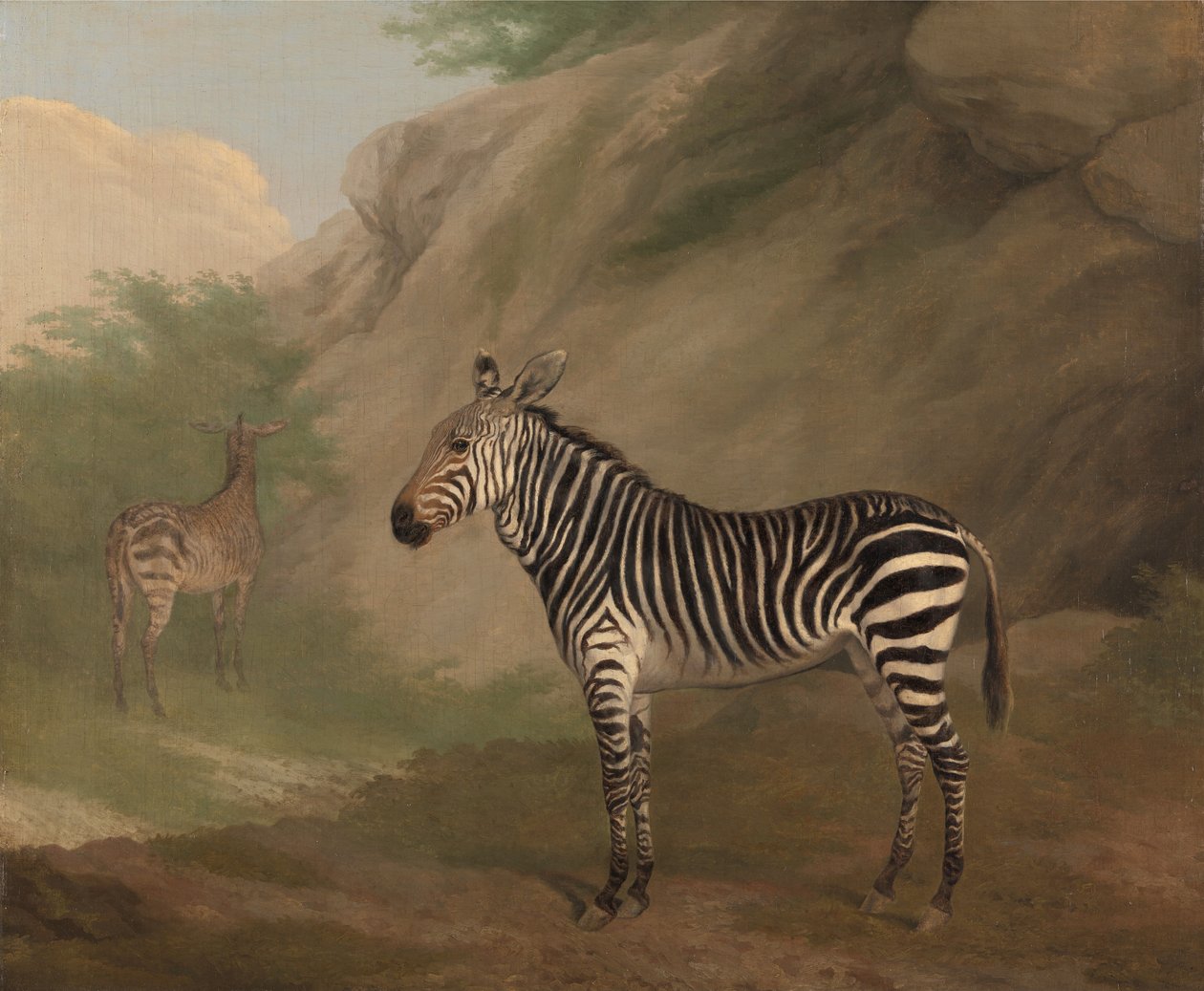 Полировка зебры autorstwa Jacques-Laurent Agasse