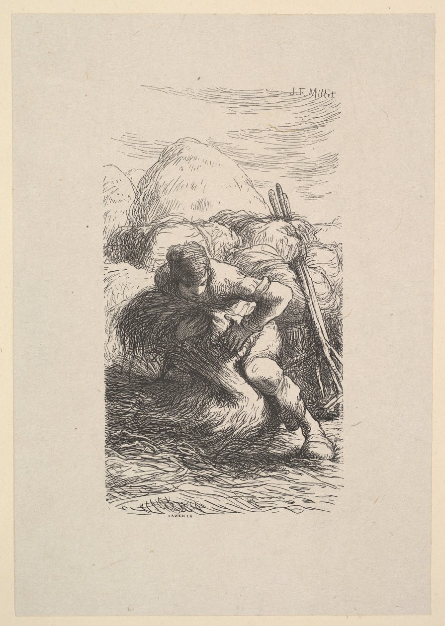 Snopka, 1853. autorstwa Jacques Adrien Lavieille