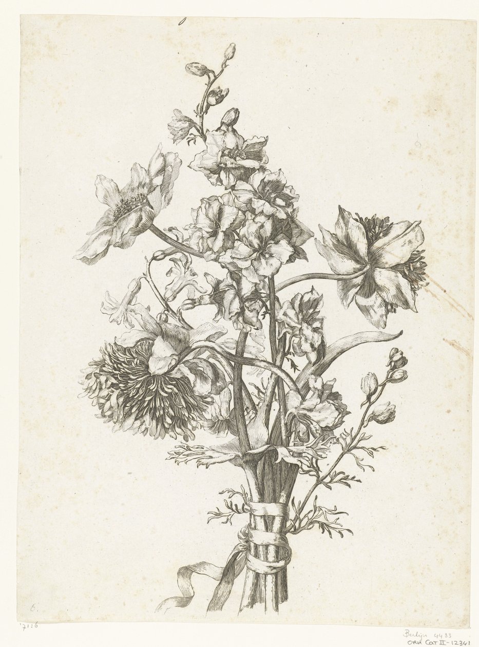 Bukiet z zawilcami, hiacyntem i delfinami Diverse Fleurs mises en Boucquets (tytuł serii) autorstwa Jacques Bailly (I)