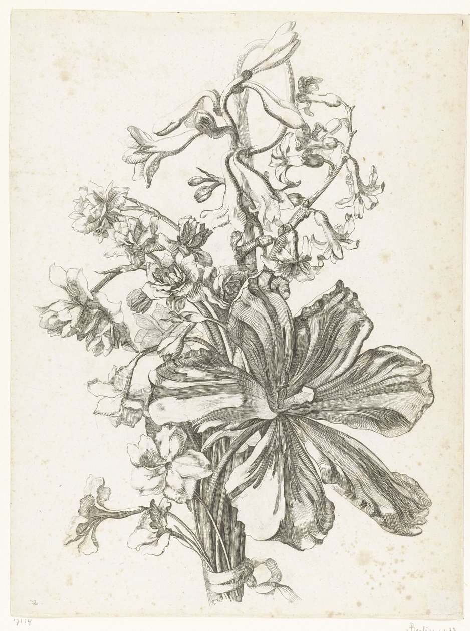 Bukiet z tulipanem, hiacyntem, brodiajami i żonkilami Diverse Fleurs mises en Boucquets (tytuł serii) autorstwa Jacques Bailly (I)