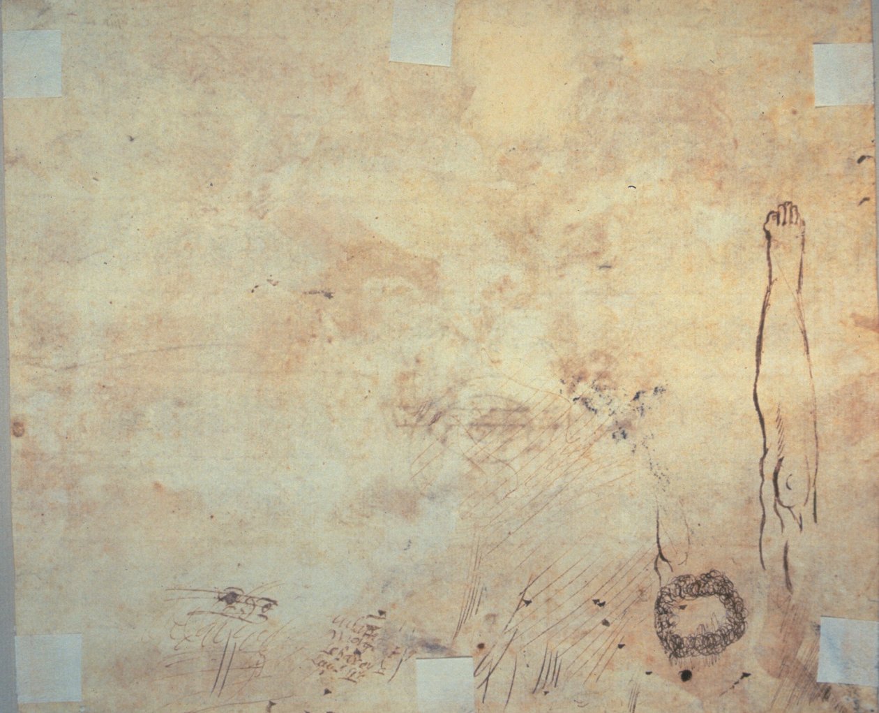 Badanie nogi, rozkwitu i doodli autorstwa Jacques Bellange