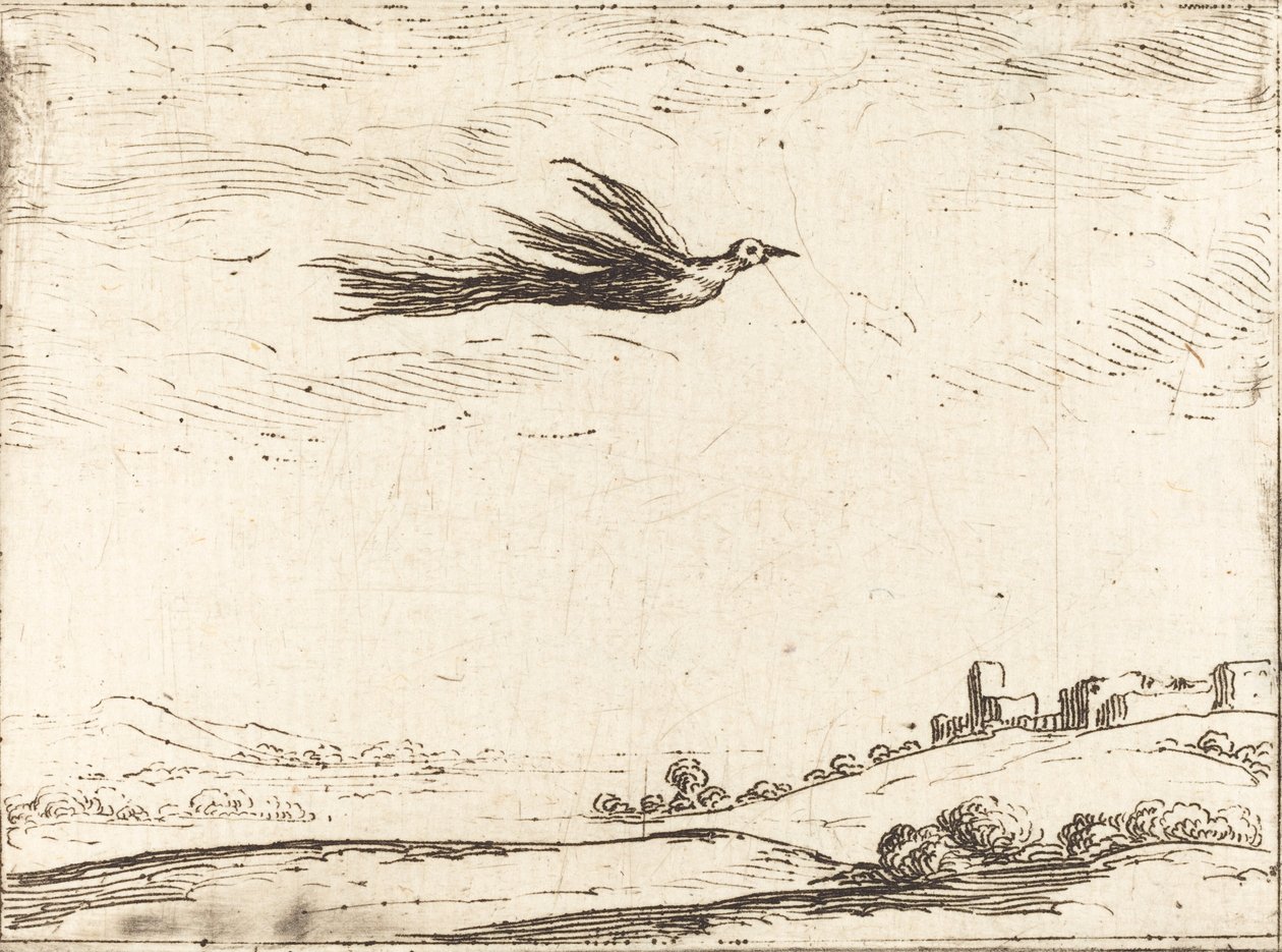 Rajski ptak autorstwa Jacques Callot