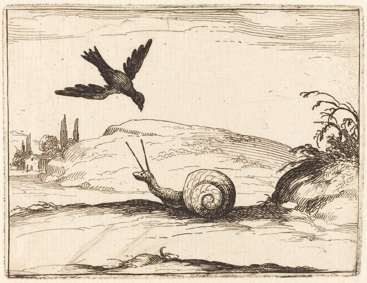 Wrona i ślimak autorstwa Jacques Callot