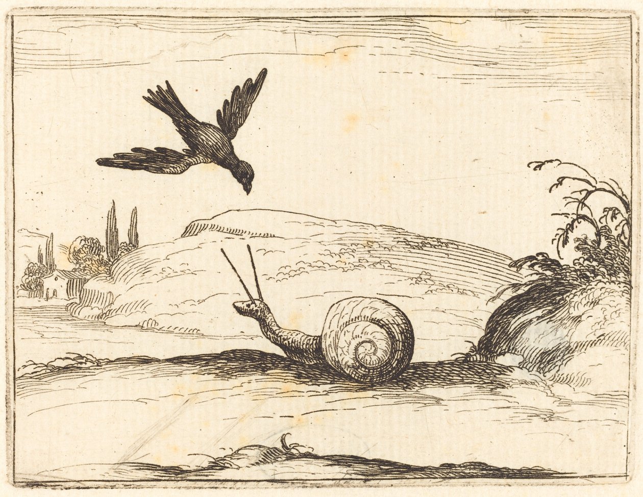 Wrona i ślimak autorstwa Jacques Callot