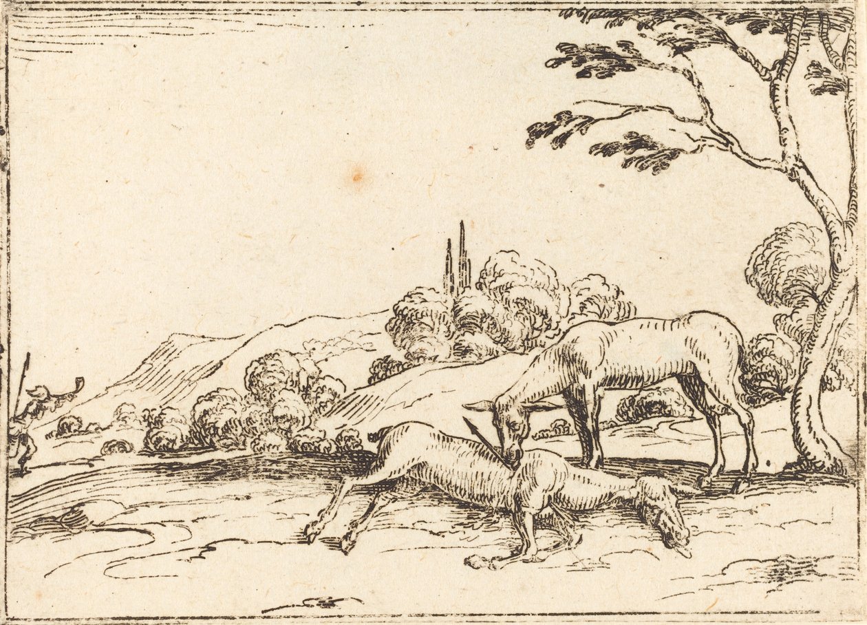 Czy opłakuje swojego źrebaka autorstwa Jacques Callot