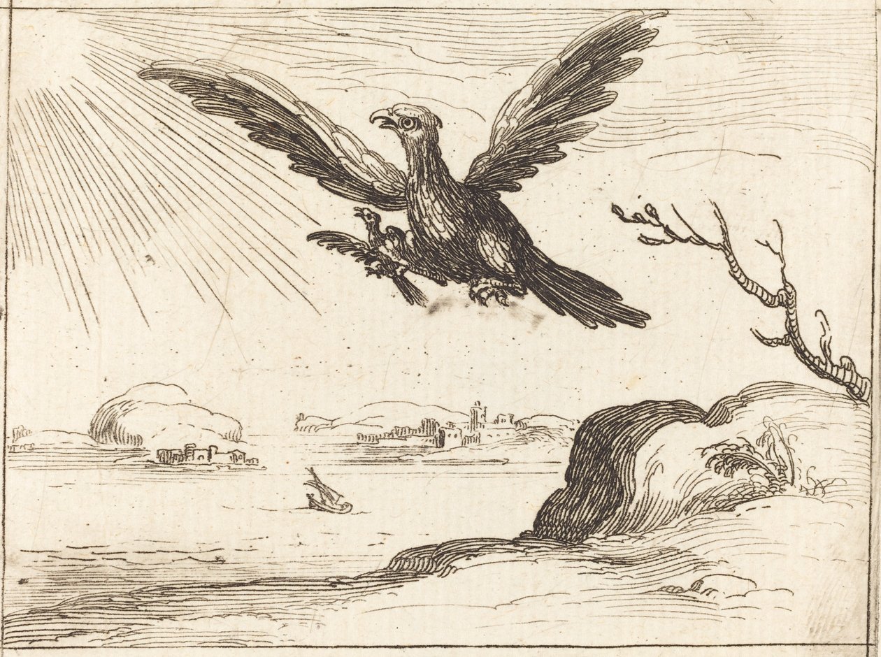 Orzeł i młody autorstwa Jacques Callot