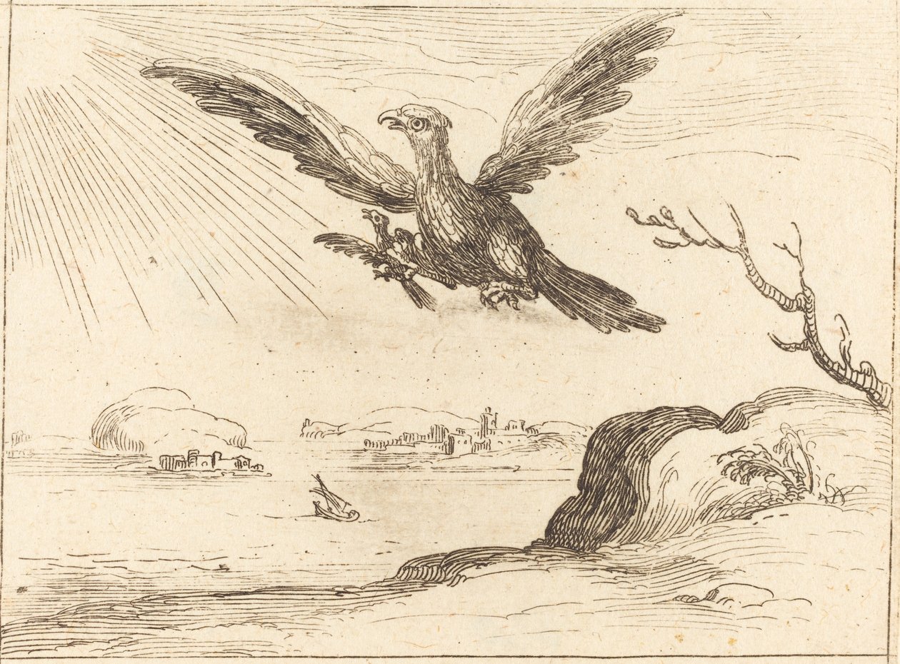 Orzeł i młody autorstwa Jacques Callot