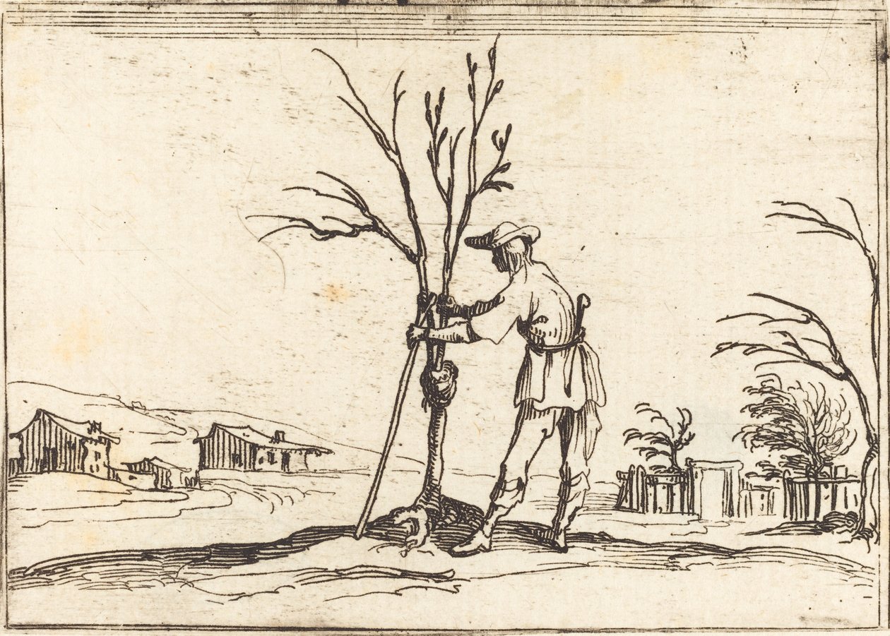 Ogrodnik przycinający drzewo autorstwa Jacques Callot