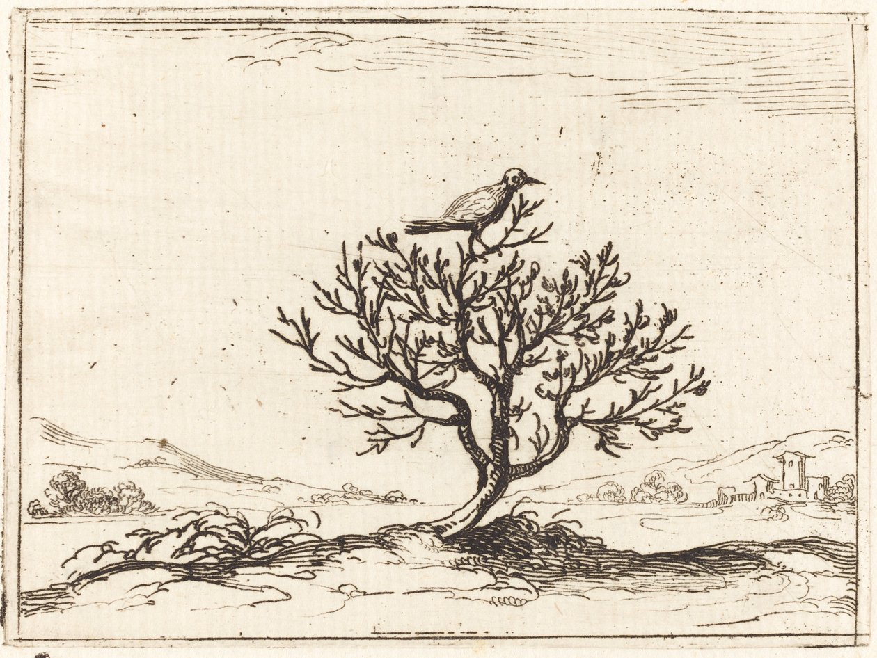 Słowik w krzaku autorstwa Jacques Callot
