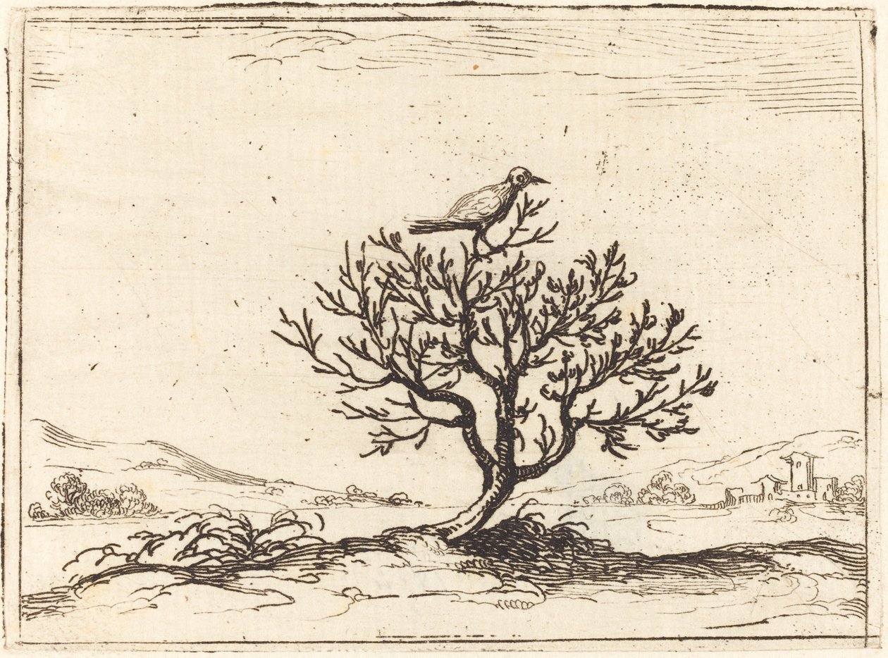 Słowik w krzaku autorstwa Jacques Callot