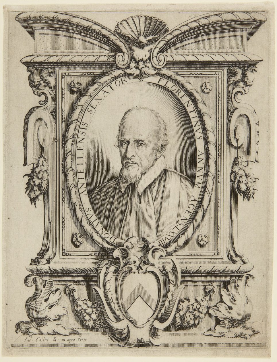 Portret senatora Donato Dell