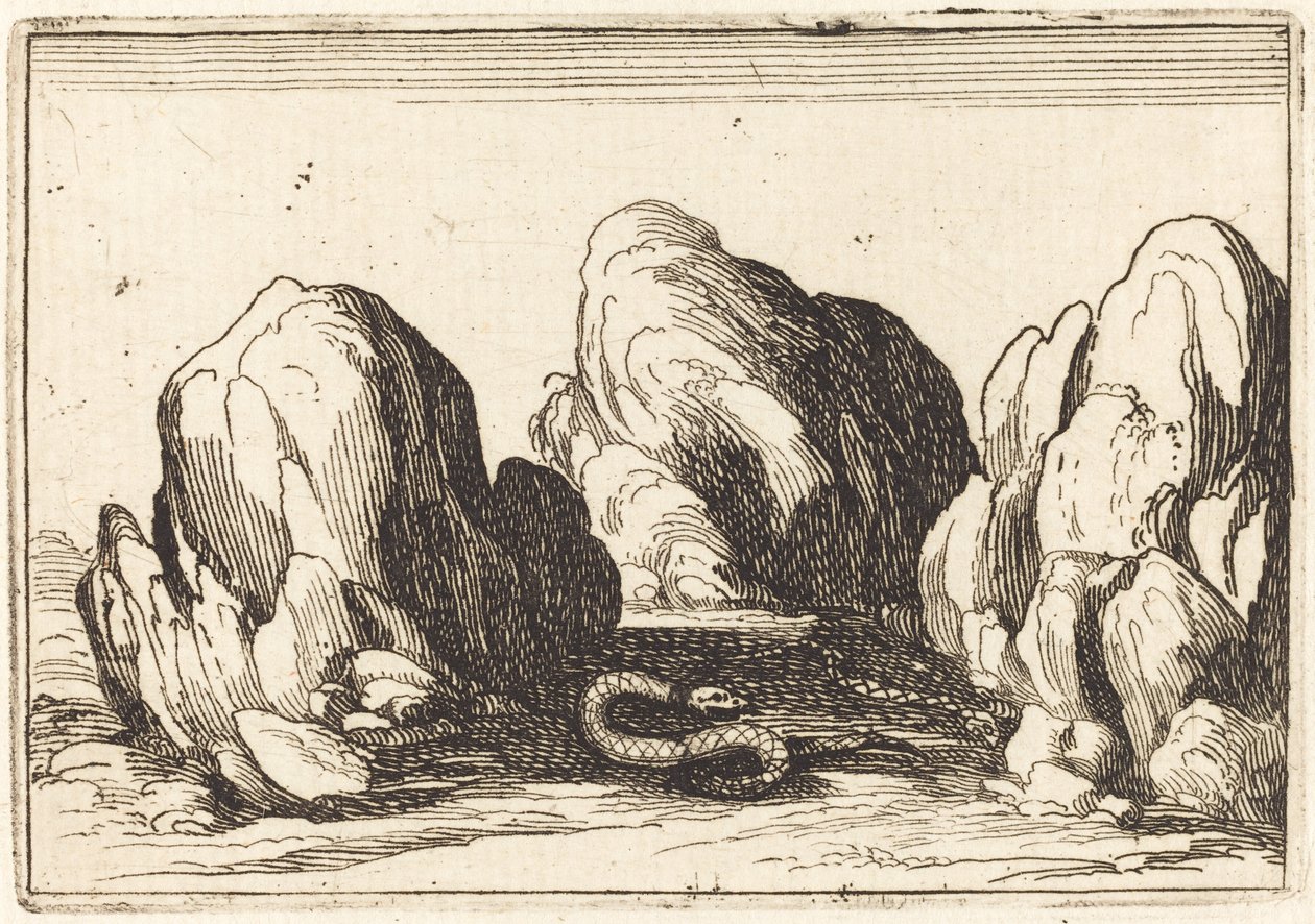 Wąż autorstwa Jacques Callot