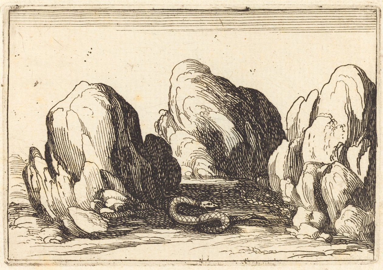 Wąż, 1628. autorstwa Jacques Callot