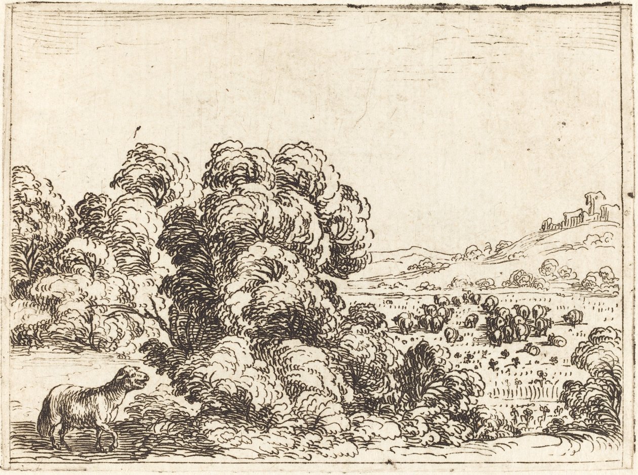 Owca wołająca owieczkę autorstwa Jacques Callot