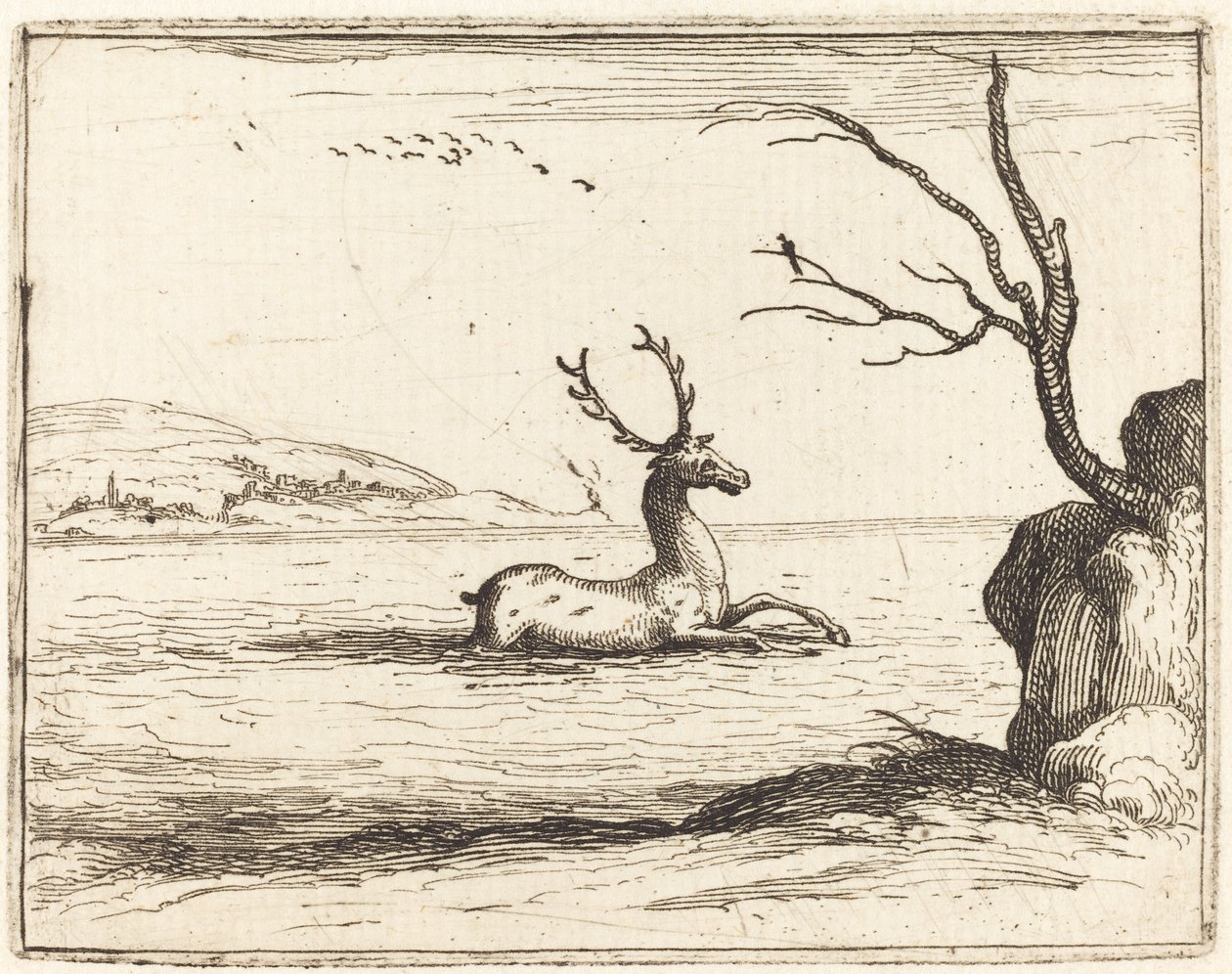 Jeleń w wodzie, 1628. autorstwa Jacques Callot