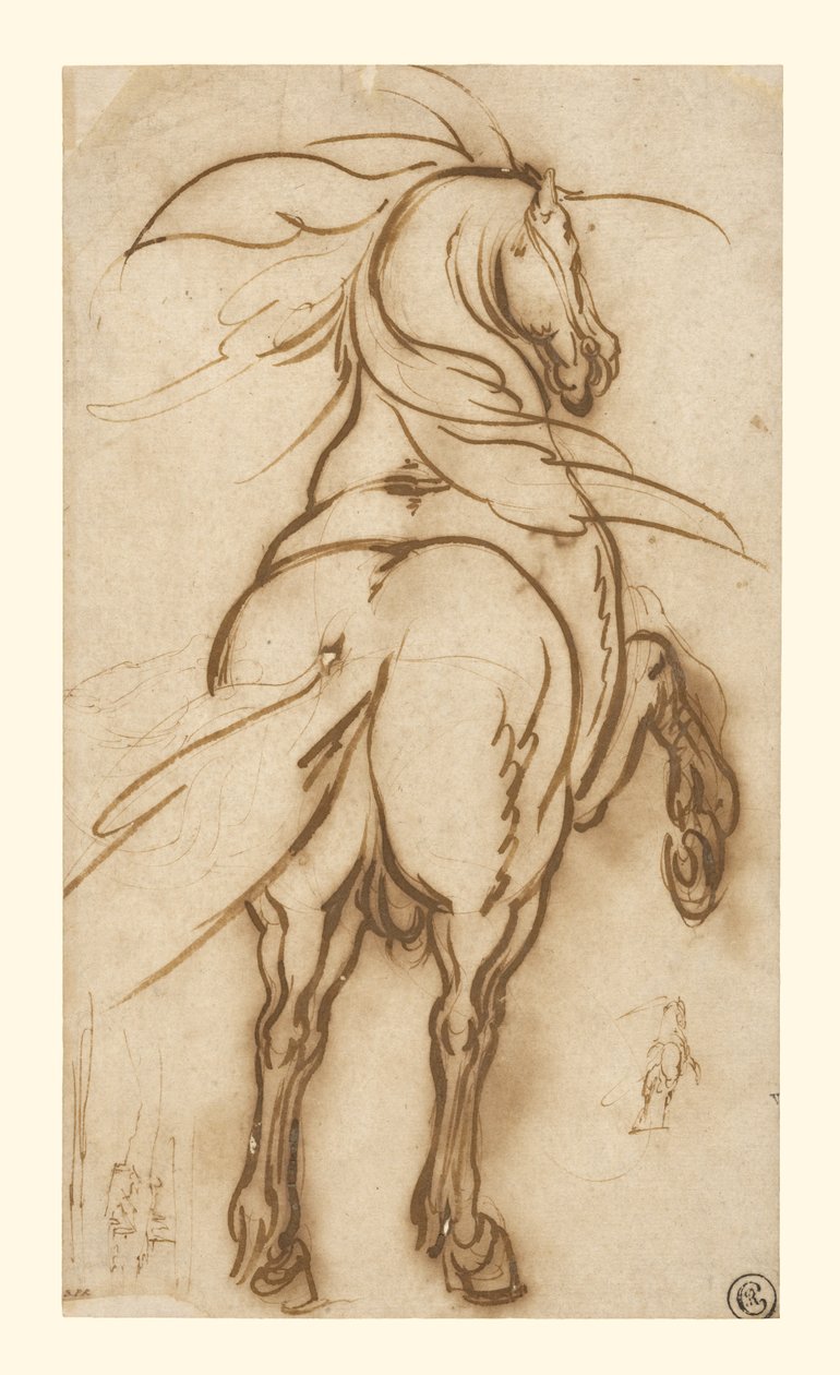 Badanie konia hodowlanego autorstwa Jacques Callot