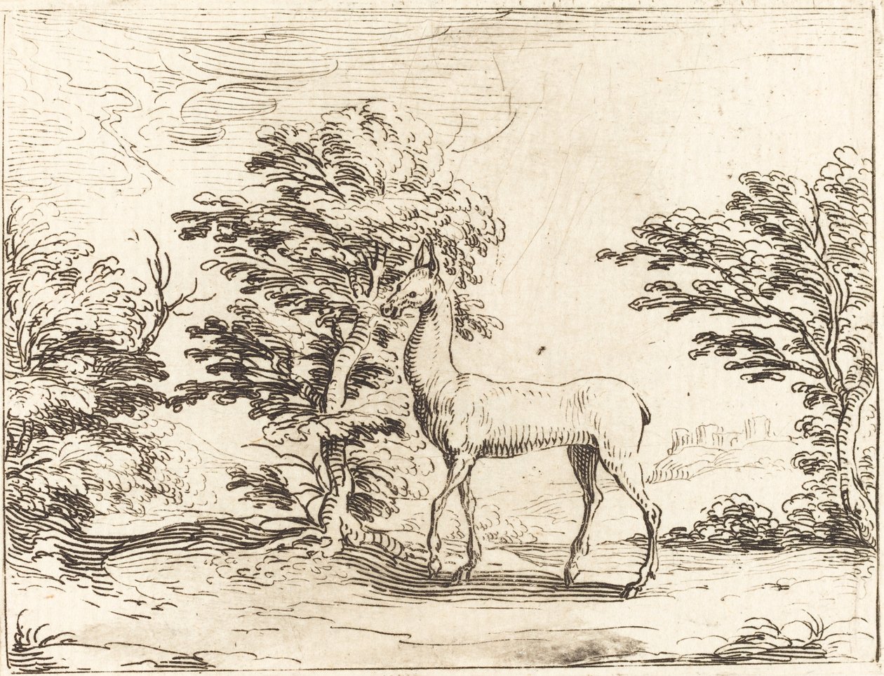 Łania. autorstwa Jacques Callot