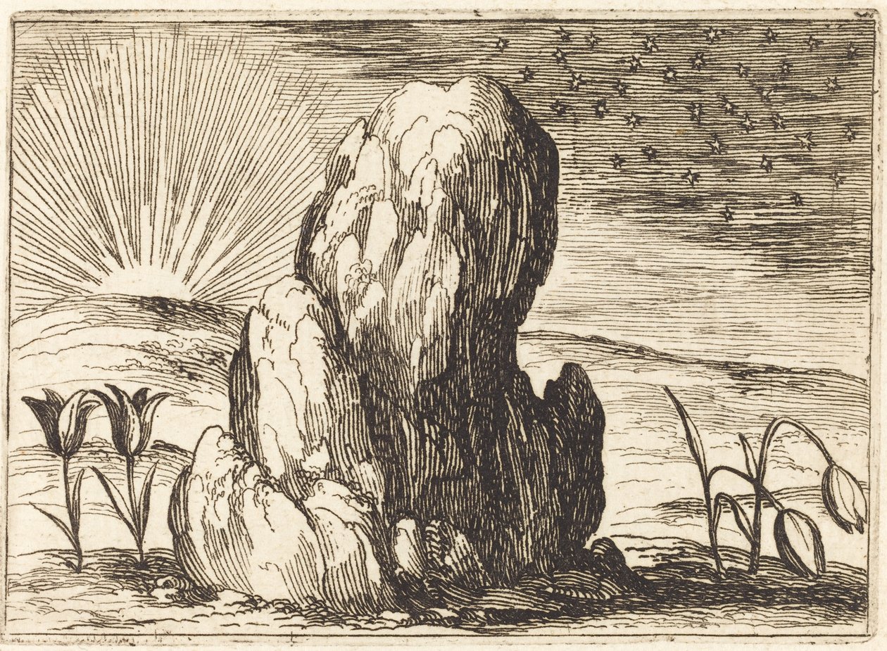 Tulipany i Słońce autorstwa Jacques Callot