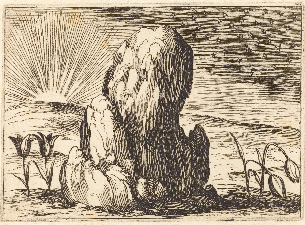 Tulipany i Słońce autorstwa Jacques Callot