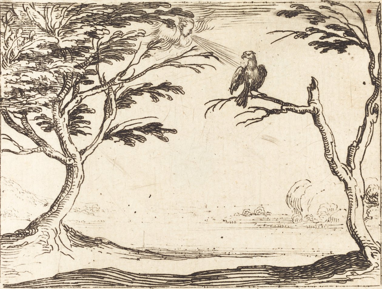 Sęp autorstwa Jacques Callot