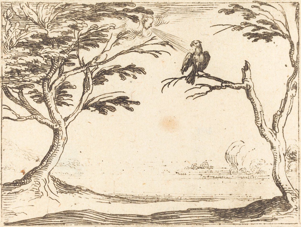 Sęp autorstwa Jacques Callot