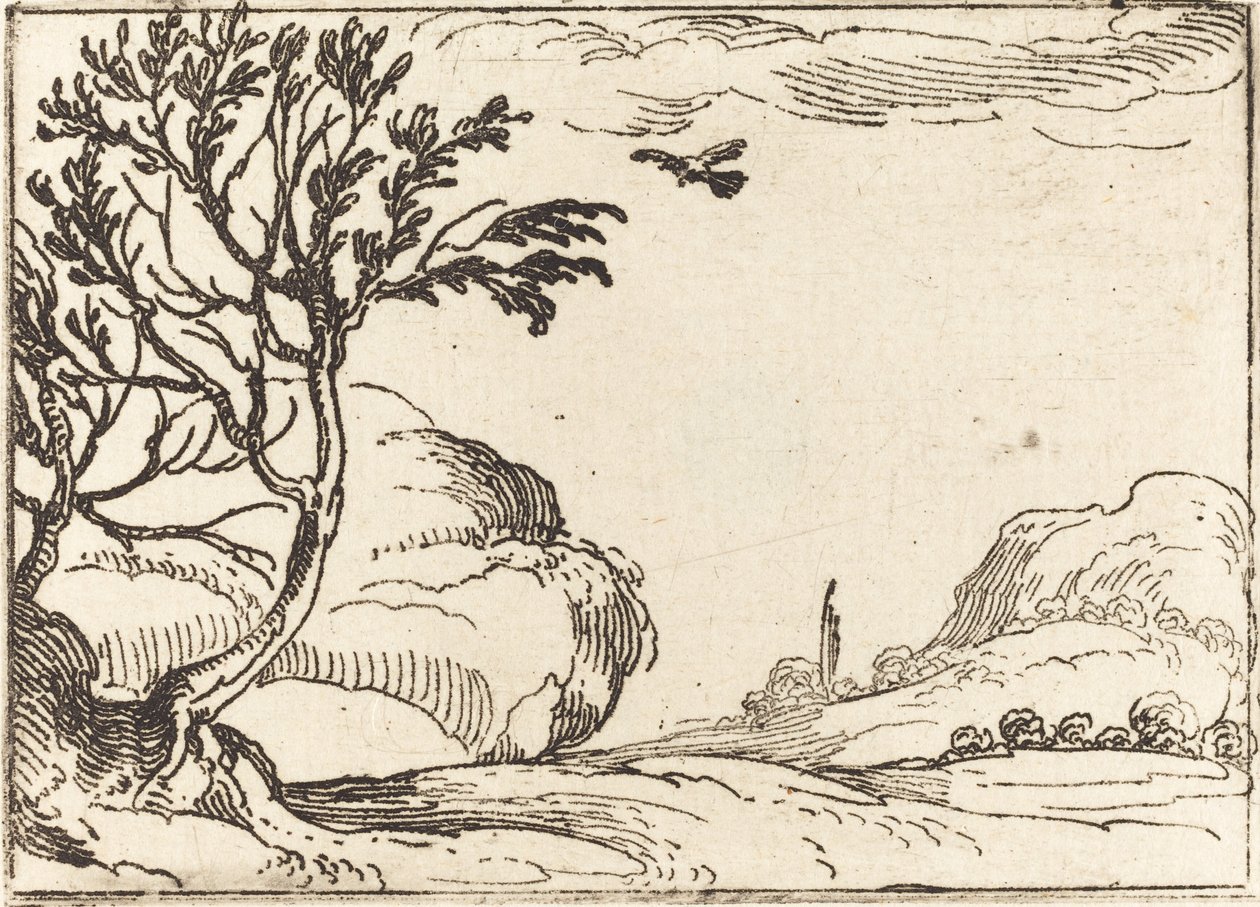 Turtle Dove latający na pustyni autorstwa Jacques Callot