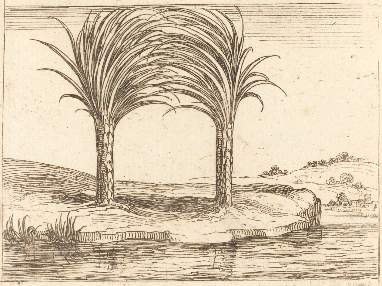 Dwie palmy autorstwa Jacques Callot