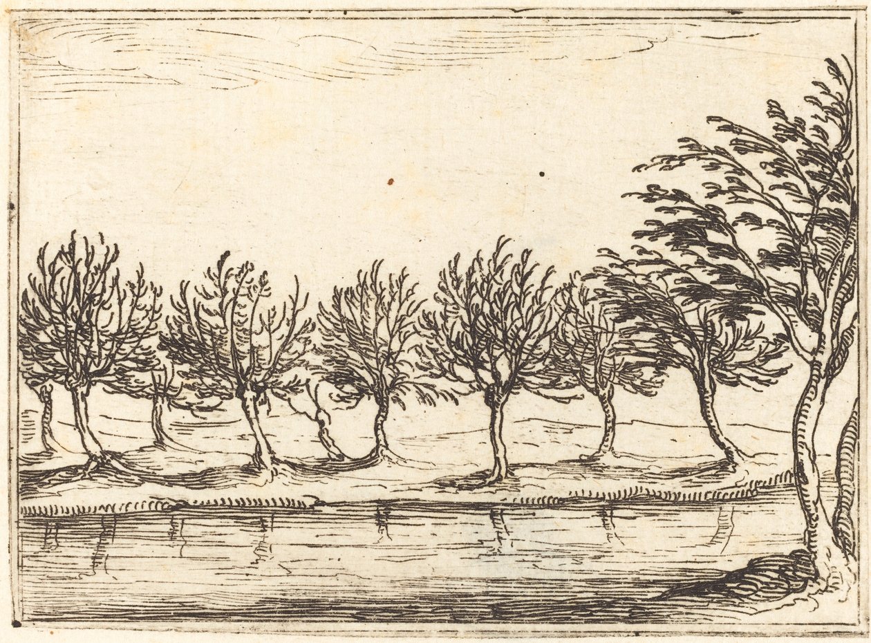 Wierzby nad brzegiem wody, 1628. autorstwa Jacques Callot