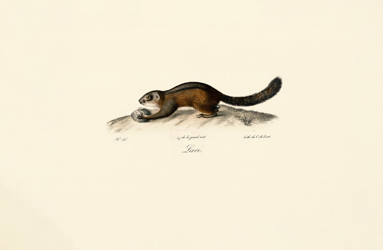  autorstwa Jacques Christophe Werner
