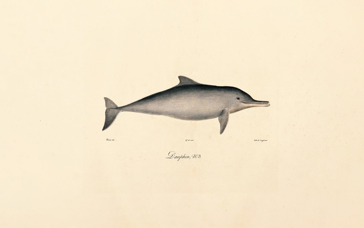  autorstwa Jacques Christophe Werner