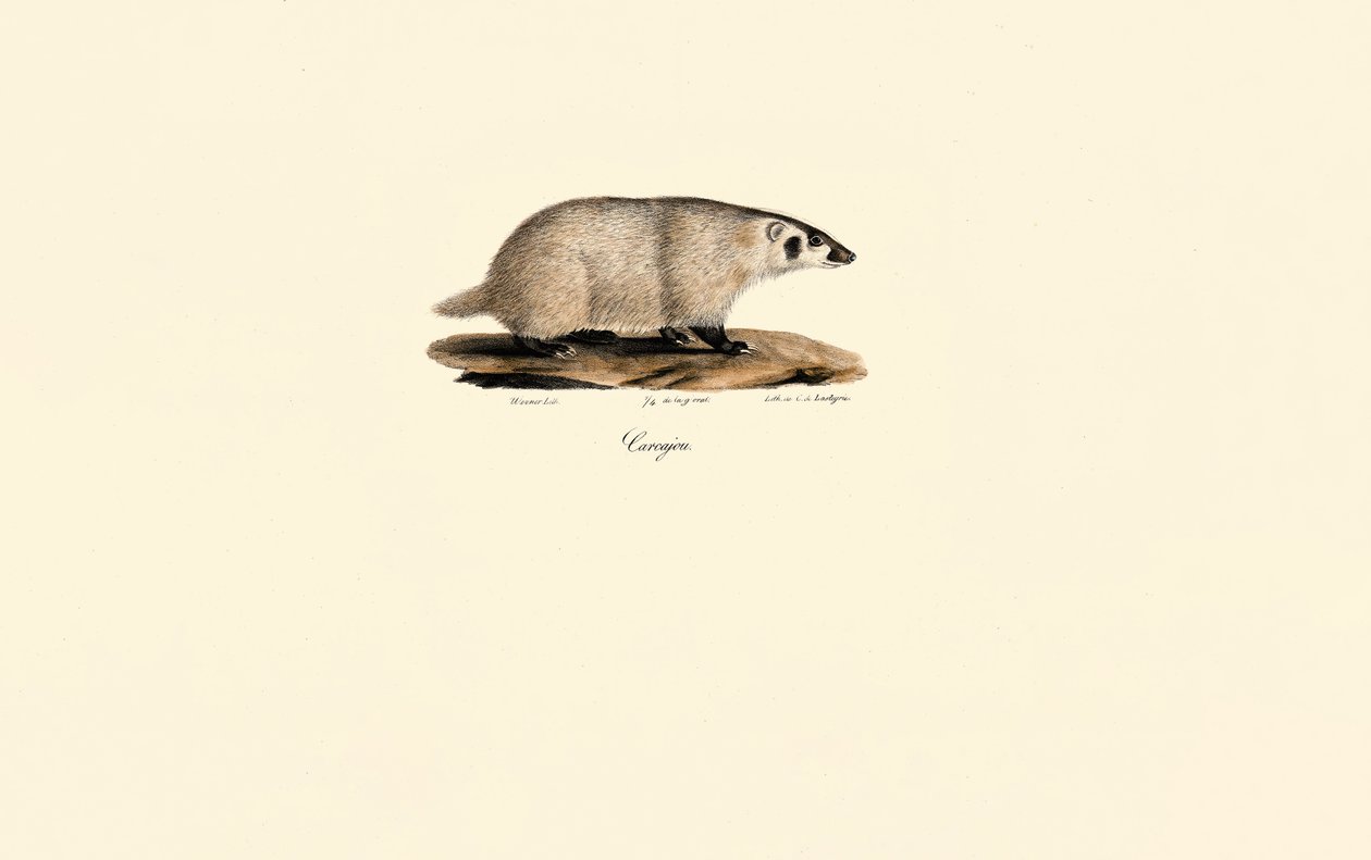  autorstwa Jacques Christophe Werner