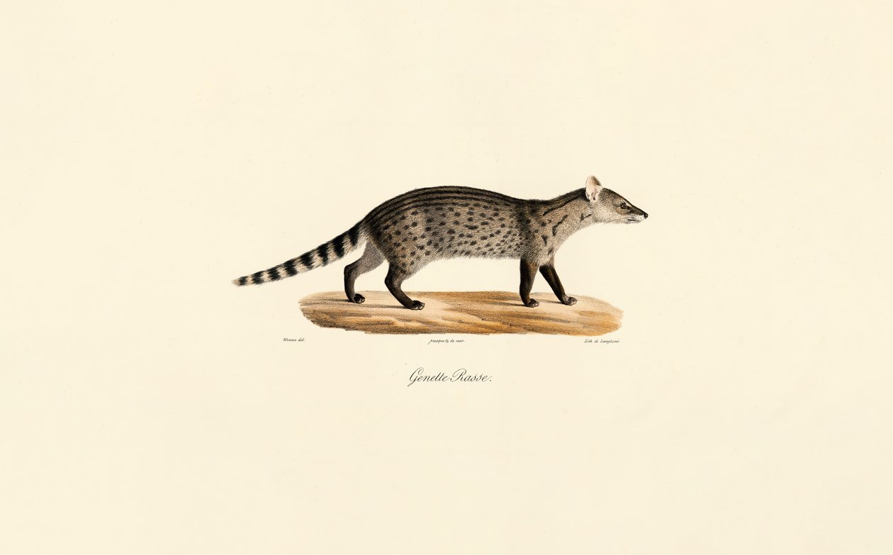  autorstwa Jacques Christophe Werner