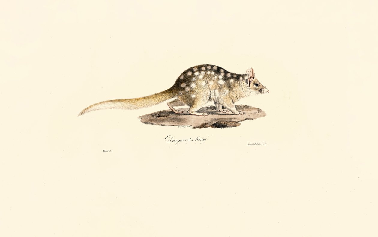  autorstwa Jacques Christophe Werner