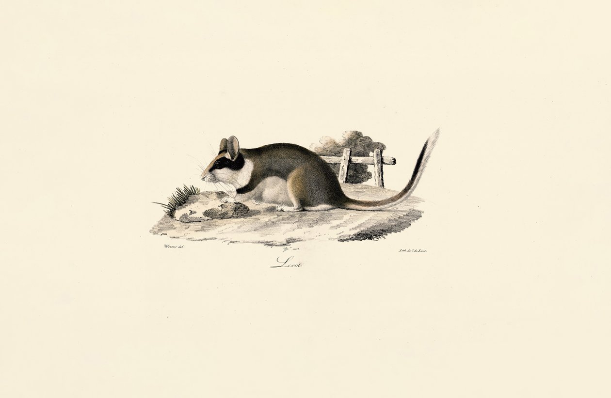  autorstwa Jacques Christophe Werner